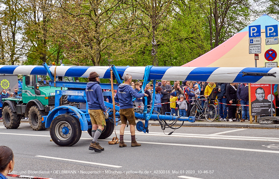 01.05.2023 - Maibaumaufstellung in Berg am Laim